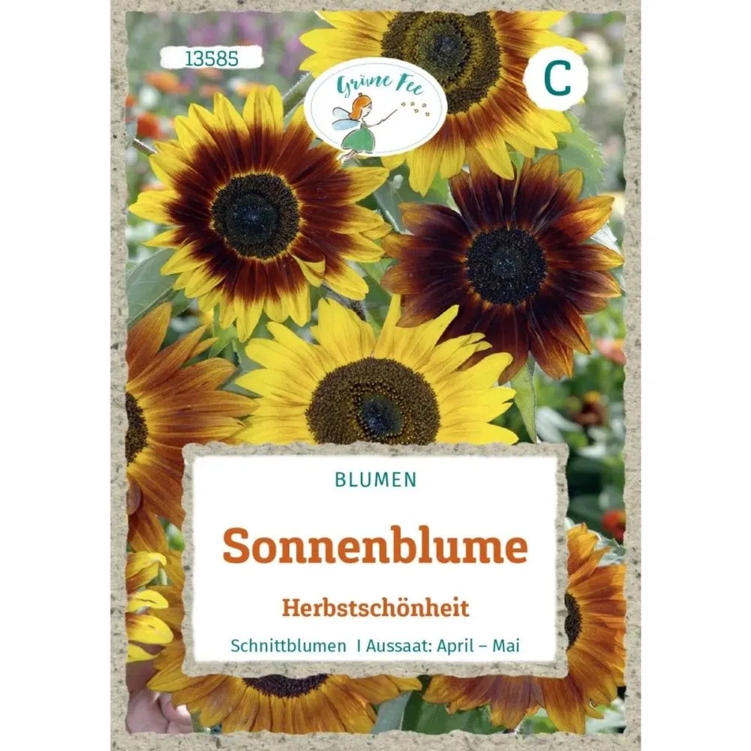 Grüne Fee Sonnenblume Herbstschönheit Saatgut