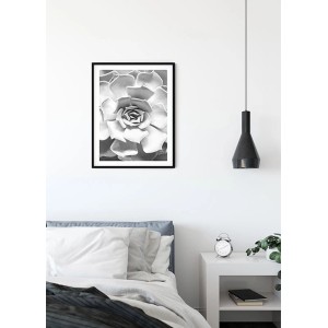 Komar Wandbild „Succulent Closeup“ (40x50 cm) mit Nahaufnahme einer Sukkulente in Schwarz-Weiß.