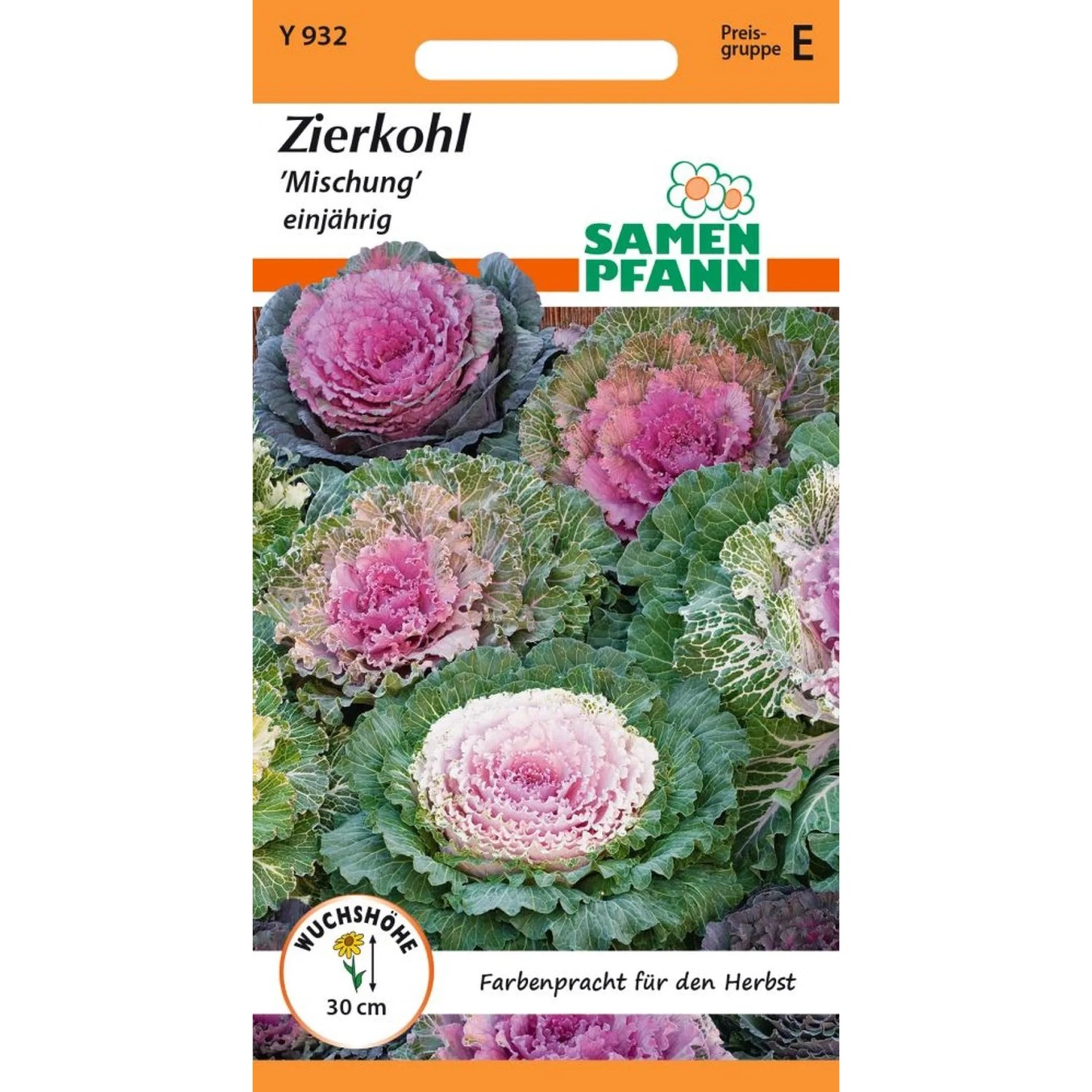 SAMEN PFANN Zierkohl Mischung