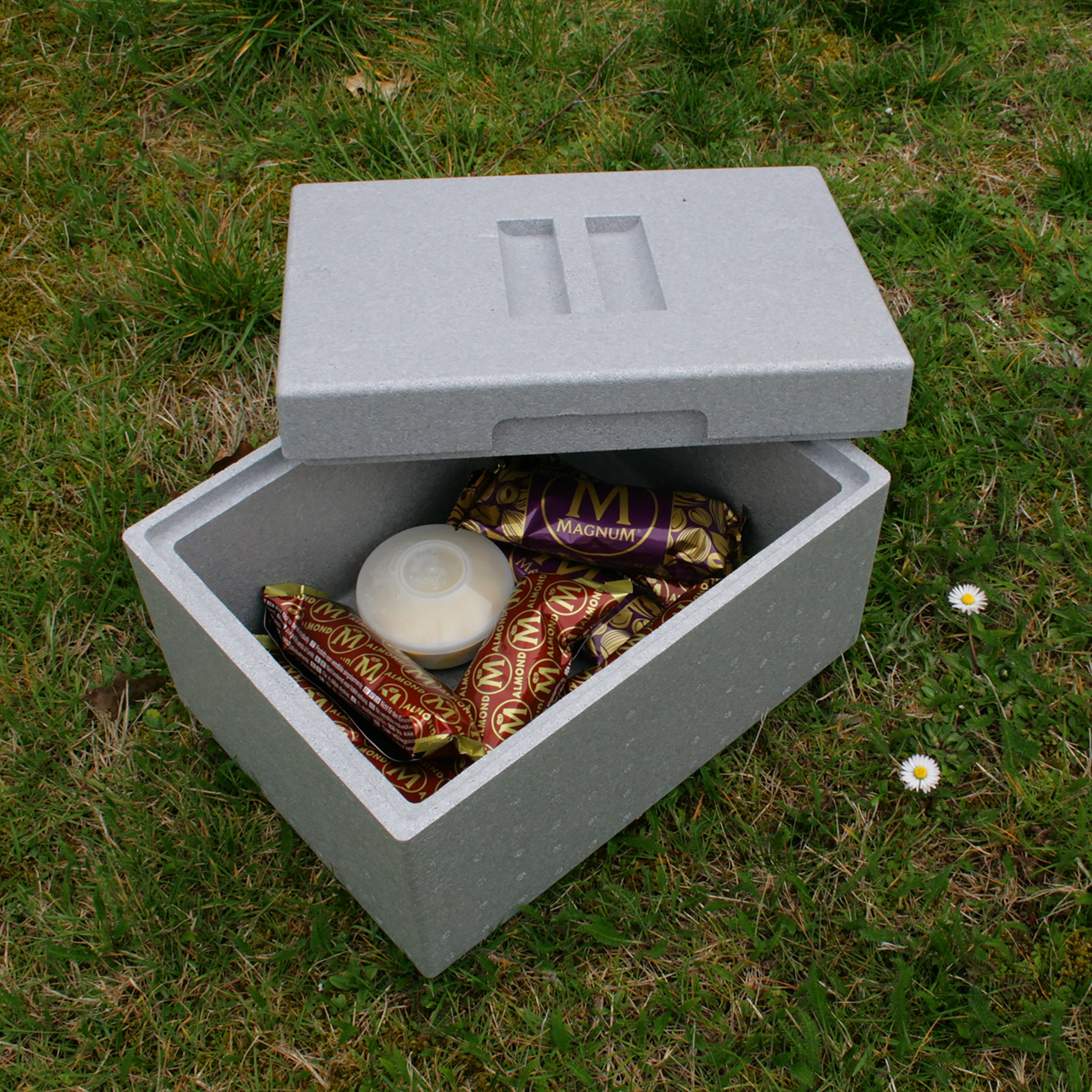 THERM BOX Styroporbox Klein 12 Liter Isolierbox Thermobox Warmhaltebox  Kühlbox