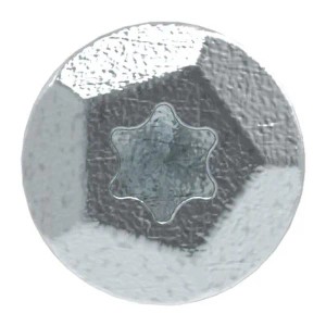 FeNau Sicherheitsschraube Stahl Verzinkt 7 X 40 mm Mit AW 40 Antrieb Und Verschlussstopfen