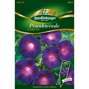 Samenpackung Quedlinburger Prunkwinde 'Grandpa Ott' mit tiefvioletten Blüten.