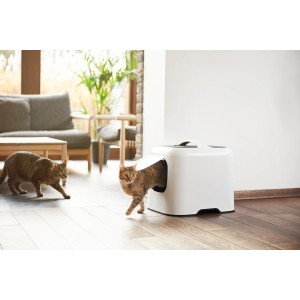 Rotho Katzentoilette Biala in Weiß mit Katze, die herauskommt. Design Katzenklo mit Filter.