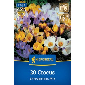 Kiepenkerl Blumenzwiebel Botanische Krokus-Mischung. Bunte Blüten in Gelb, Lila, Weiß für Garten & Kübel.