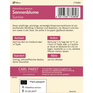 Pabst Keimkraft Sonnenblume Sunrise Saatgut Packung mit Infos zu Aussaat, Standort und Blütezeit.