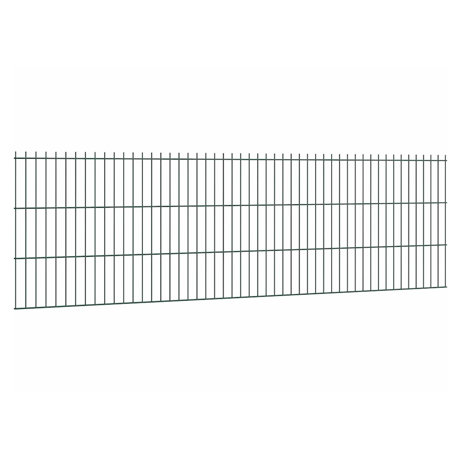 Doppelstabmattenzaun Stärke 6/5/6 Grün 63 x 251 cm günstig online kaufen