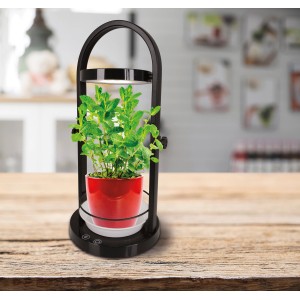 Näve LED-Tischleuchte Pflanzen, 53,5 cm, schwarzer Rahmen, roter Topf, neutralweißes Licht.