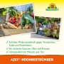 Neudorff Azet Hochbeetdünger: Gemüseernte im Korb und Hochbeet mit Salat.