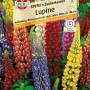 Mehrfarbige Sperli Lupine 'Sperlis Zauberkerzen' als Blumensamen für farbenfrohe Blumenbeete.