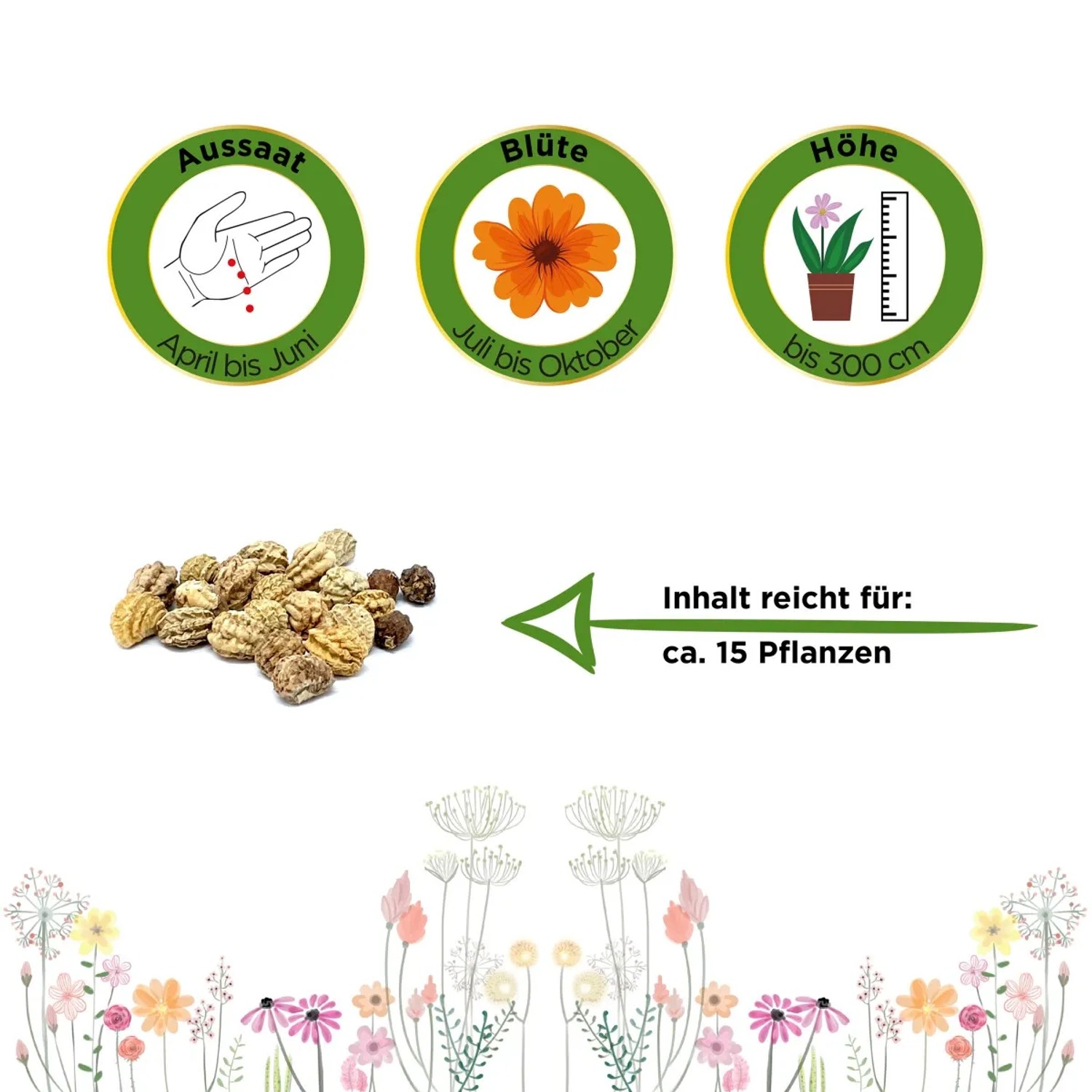 Samen der rankenden Kapuzinerkresse Mischung für ca. 15 Pflanzen. Aussaat, Blüte und Höhe Symbole.