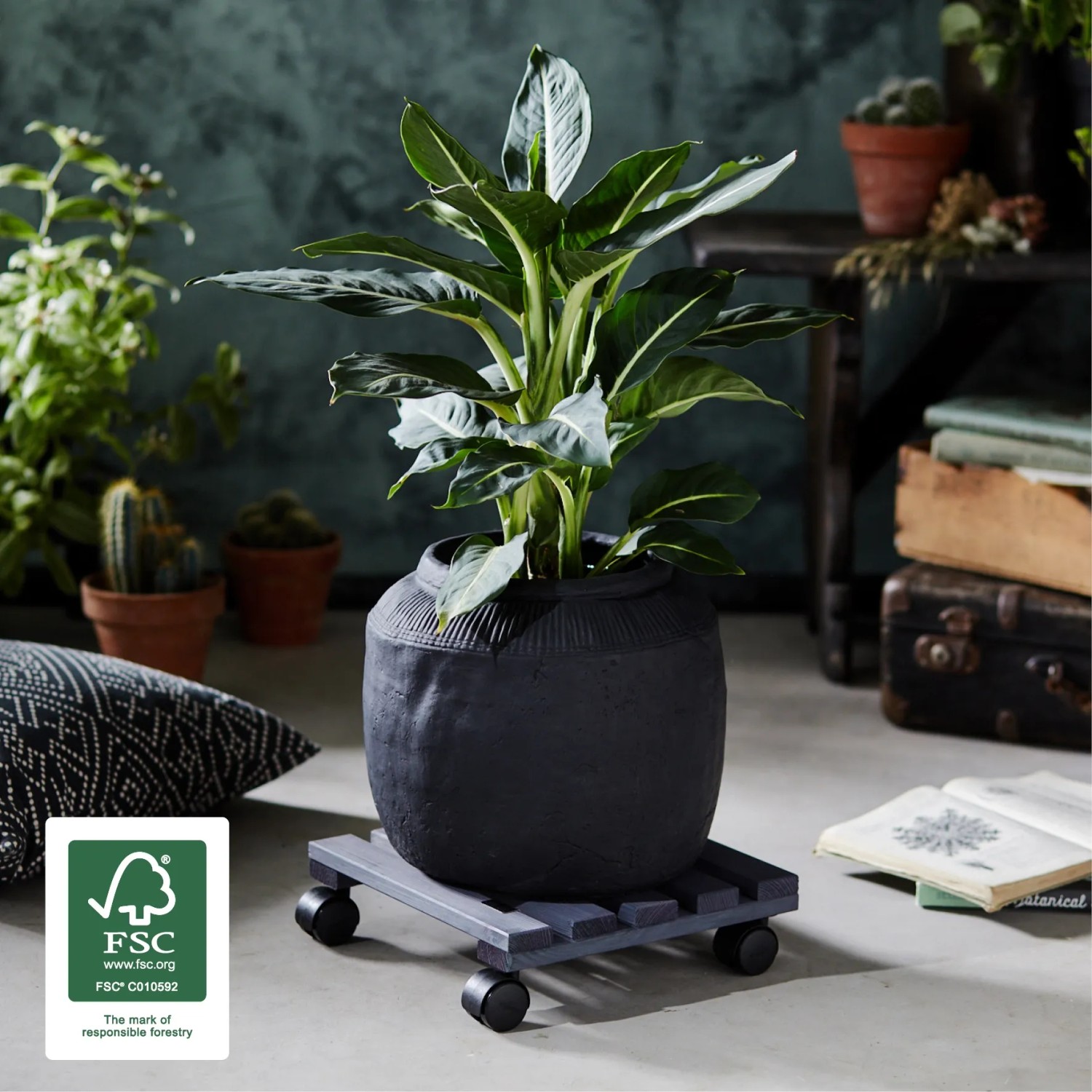 Anthrazitfarbener Wagner Pflanzenroller Nature mit Pflanze, 100 kg Tragkraft, FSC®-zertifiziert.