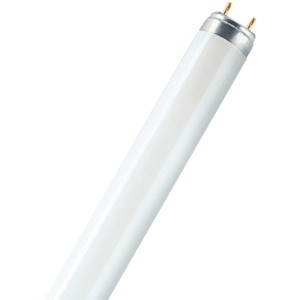 Scheinwerfer-Lampe H7 Hammer Blue Light 2er Box kaufen bei OBI
