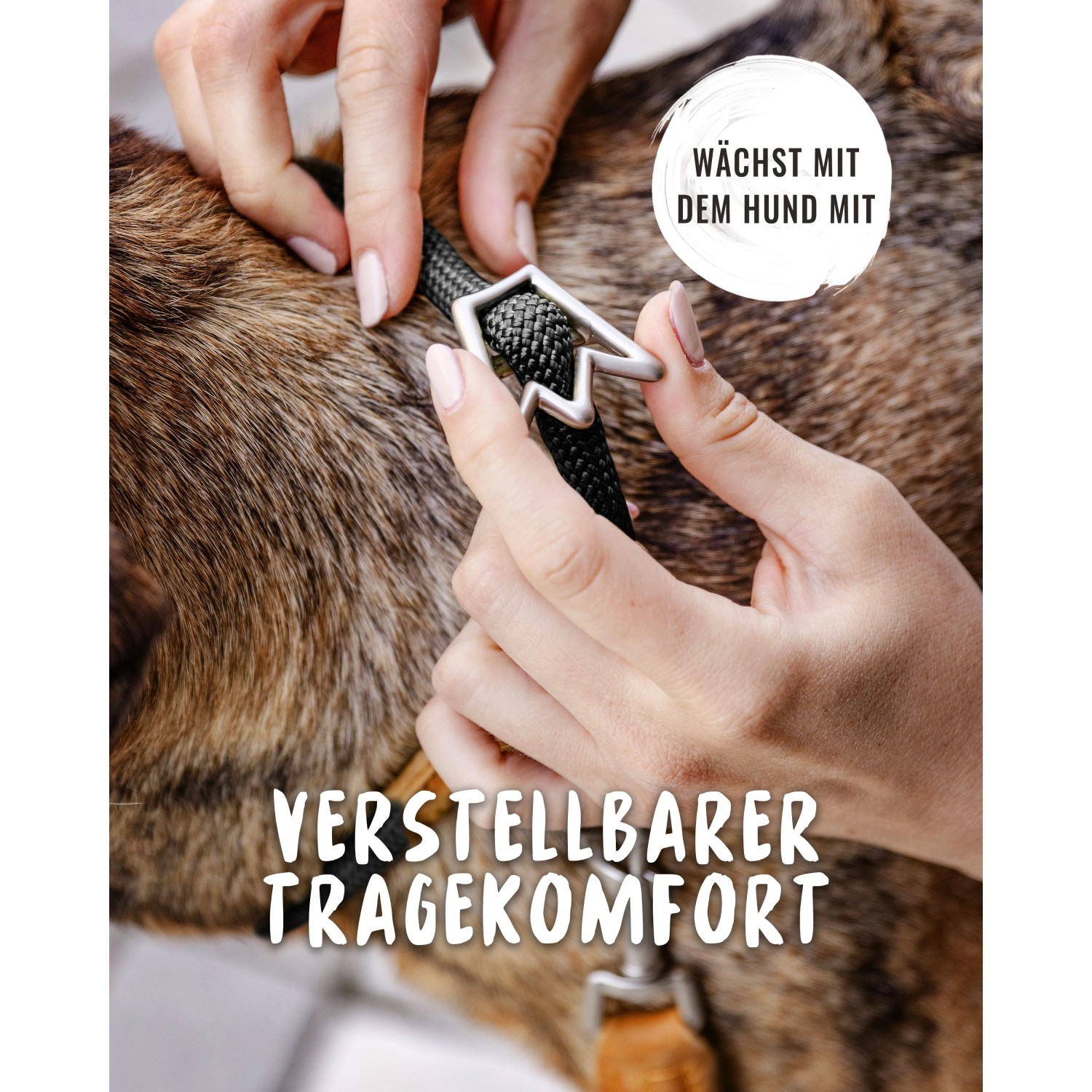 Schwarzes Rudelkönig Zugstopphalsband aus Nylon am Hundehals, verstellbar.