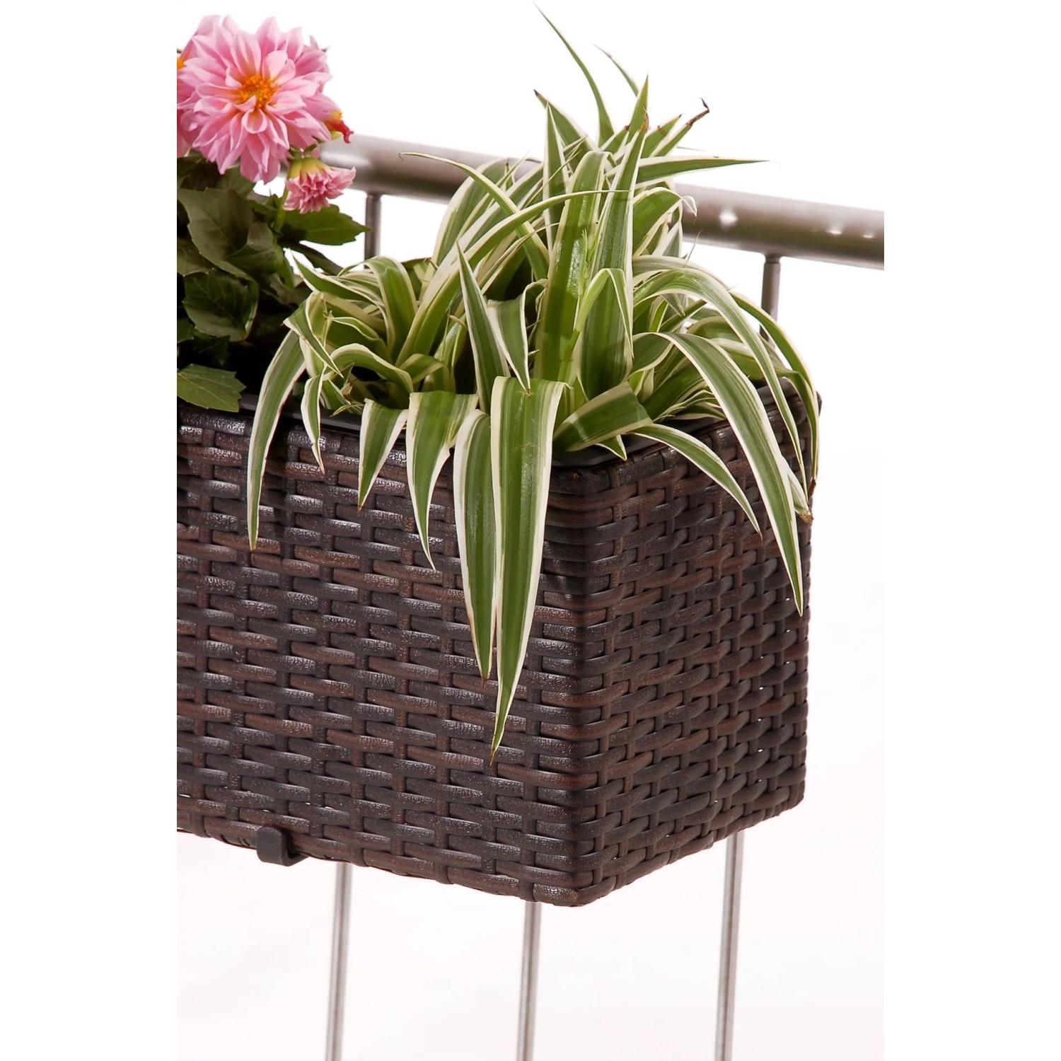 Vivanno Blumenkasten Balkoni, 80 cm, braun, mit Pflanzen auf einem Balkongeländer.