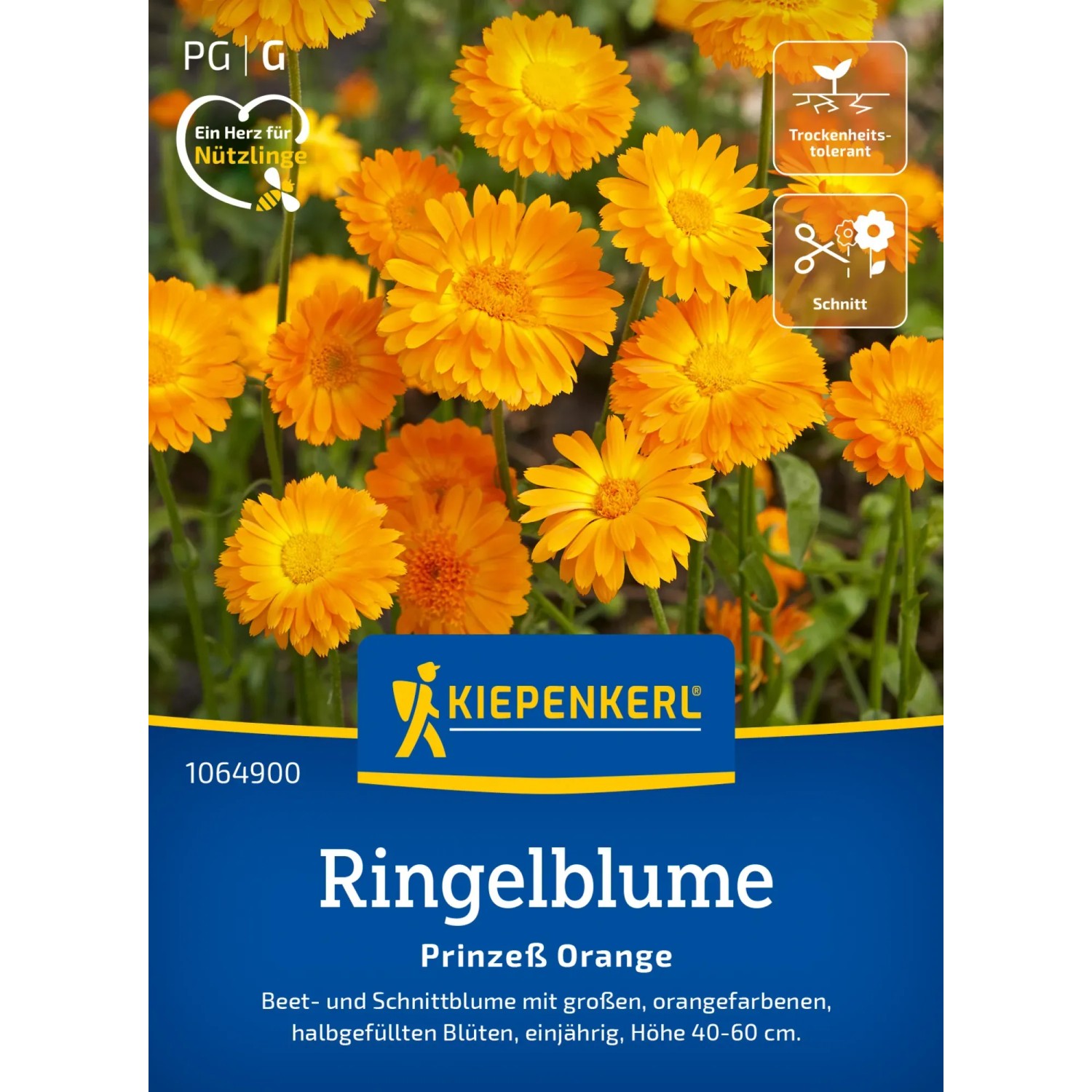 Kiepenkerl Ringelblume "Prinzess Orange" Orange