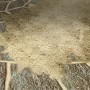 Sandfarbener MEM Fix-Fertig-Fugenmörtel zwischen Pflastersteinen. Ideal für Gartenwege und Terrassen.