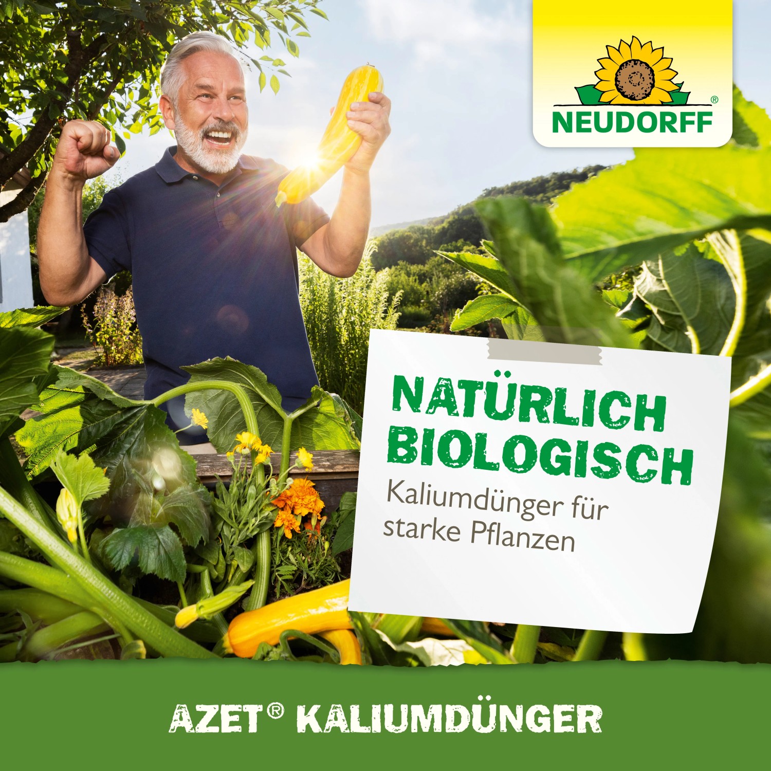 Mann freut sich über Zucchini, Neudorff Azet Kaliumdünger für gesunde Pflanzen.
