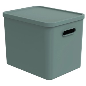 Rotho Multibox Albula für C4 Mistletoe Green 27 l