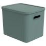 Rotho Albula Multibox in Mistletoe Green, 27 l, für C4-Format. Stapelbare Aufbewahrungsbox mit Griffen.