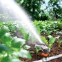 Gardena Premium Regnerkopf bewässert Rasenfläche. Impuls-, Kreis- und Sektorenregner im Einsatz.