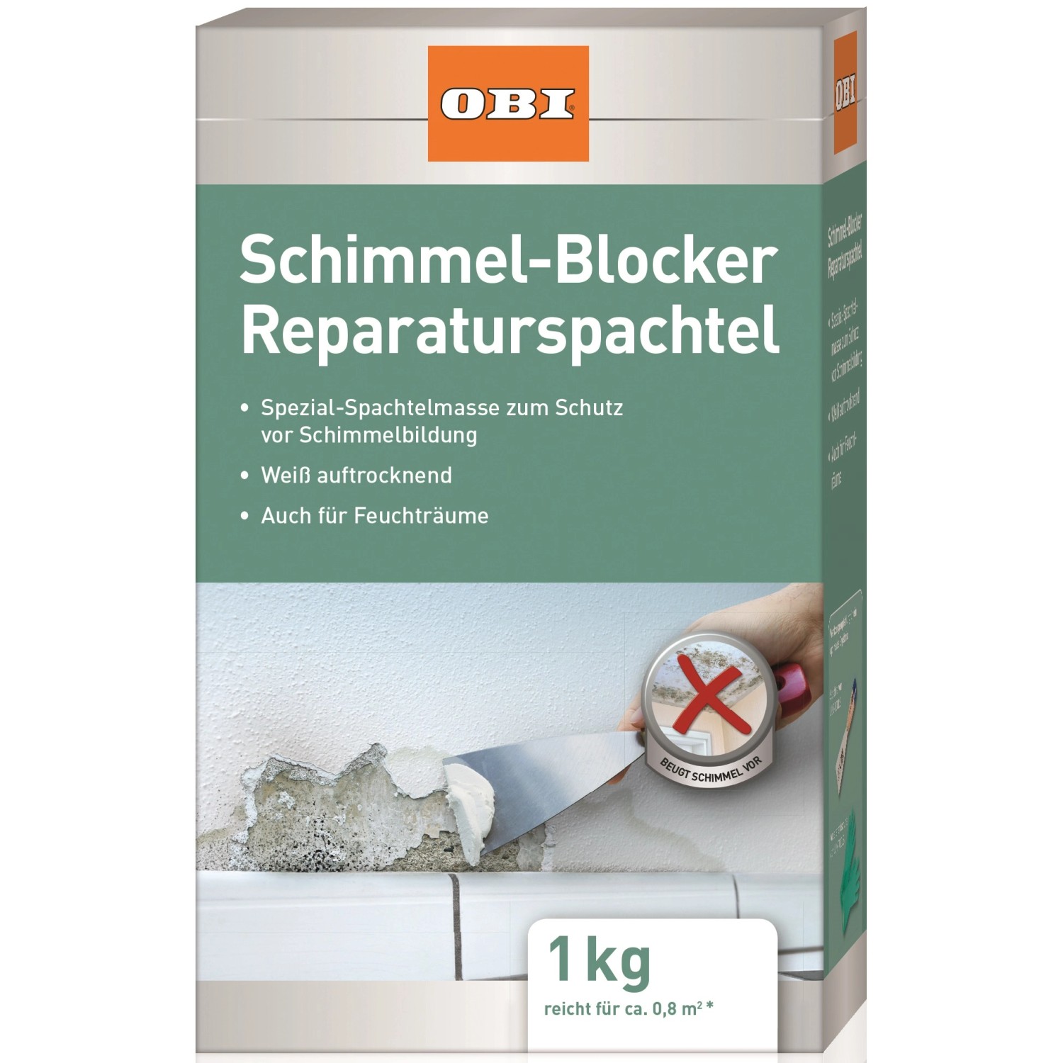OBI Schimmel-Blocker Reparaturspachtel Weiß 1 kg