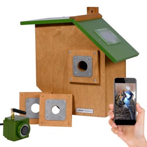 Holz-Nistkasten mit grünem Flachdach, HD-WiFi-Kamera, wechselbaren Einfluglöchern und App für Vogelbeobachtung.