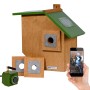 Holz-Nistkasten mit grünem Flachdach, HD-WiFi-Kamera, wechselbaren Einfluglöchern und App für Vogelbeobachtung.
