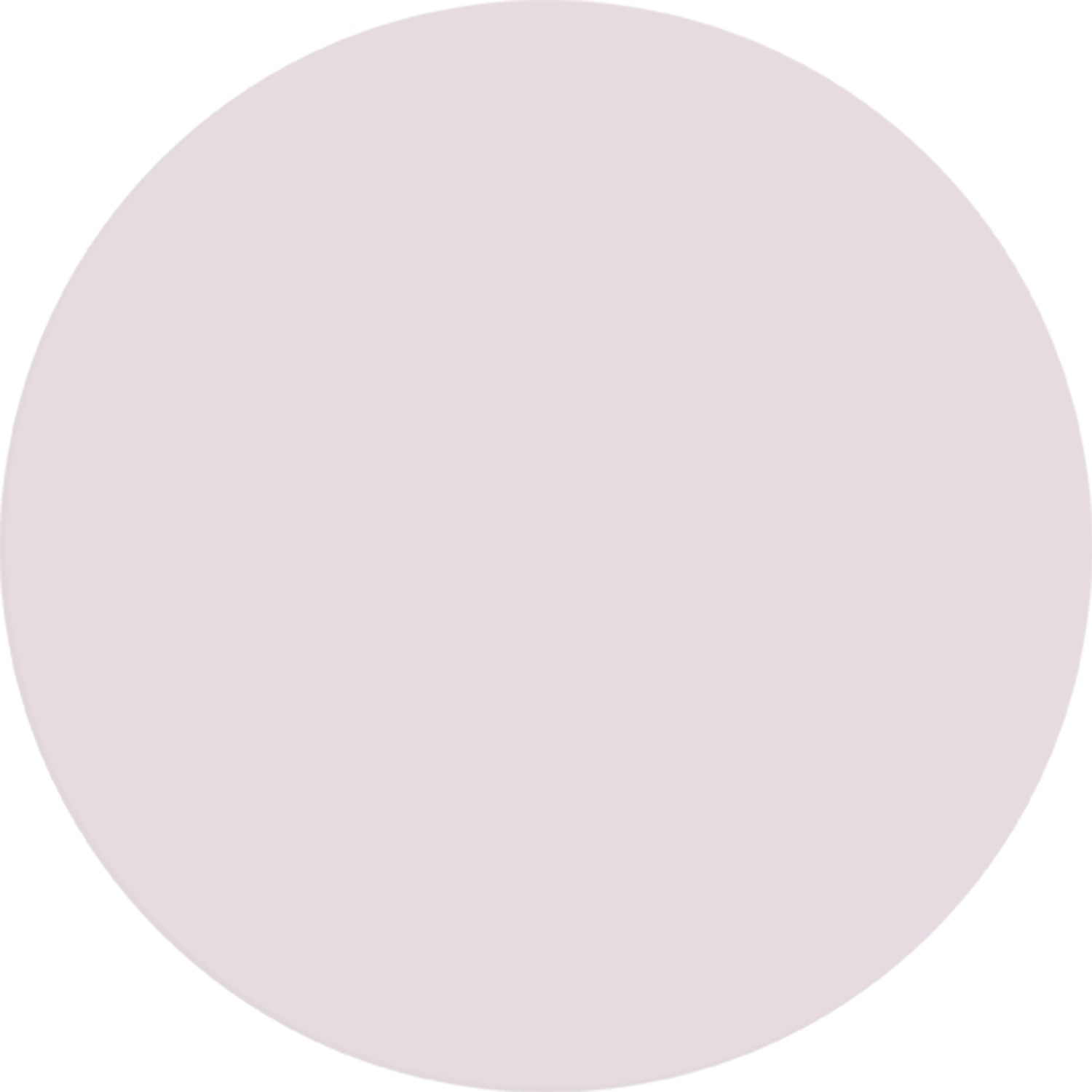 Farbfeld der Alpina Wandfarbe Pure Farben Grauviolett.