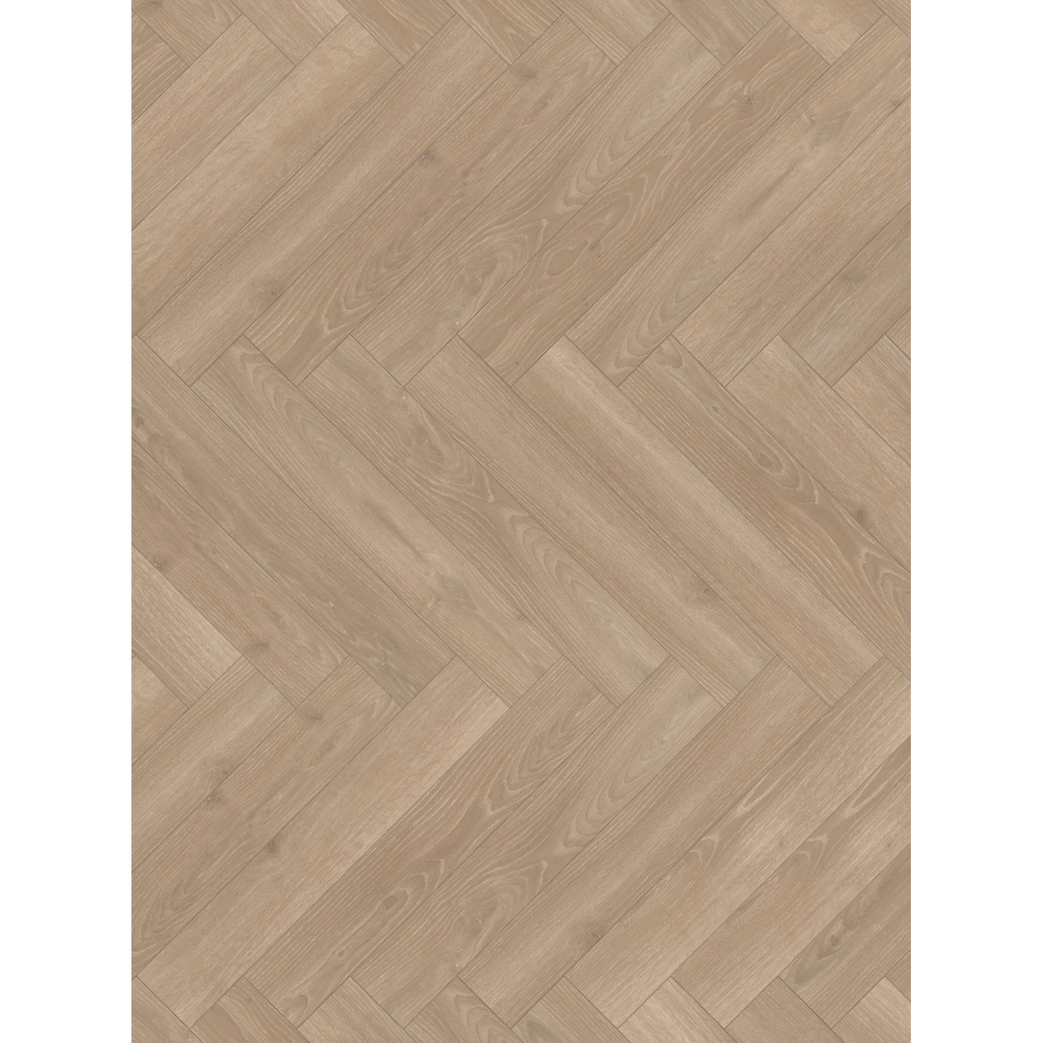 Parador Laminatbodenmuster Trendtime 3 Eiche Skyline Perlgrau