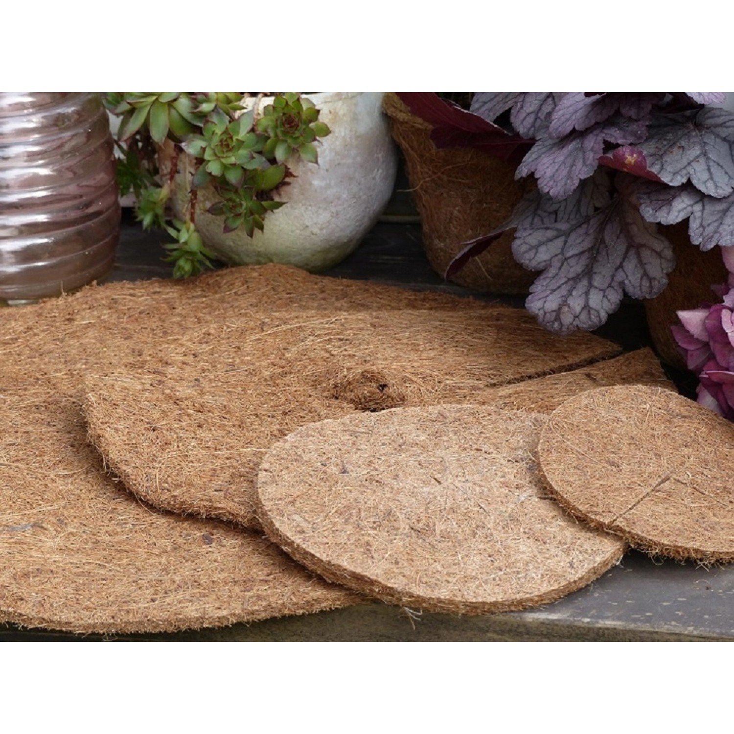 Kokosfaser Mulchscheiben (Ø 45cm) zum Schutz von Pflanzen vor Frost und Unkraut.
