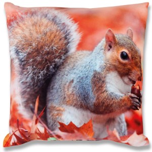 Bestlivings Kissenhülle 2er Pack mit Eichhörnchen-Fotodruck, 40x40 cm. Dekokissen für Sofa, Bett oder Gartenmöbel.