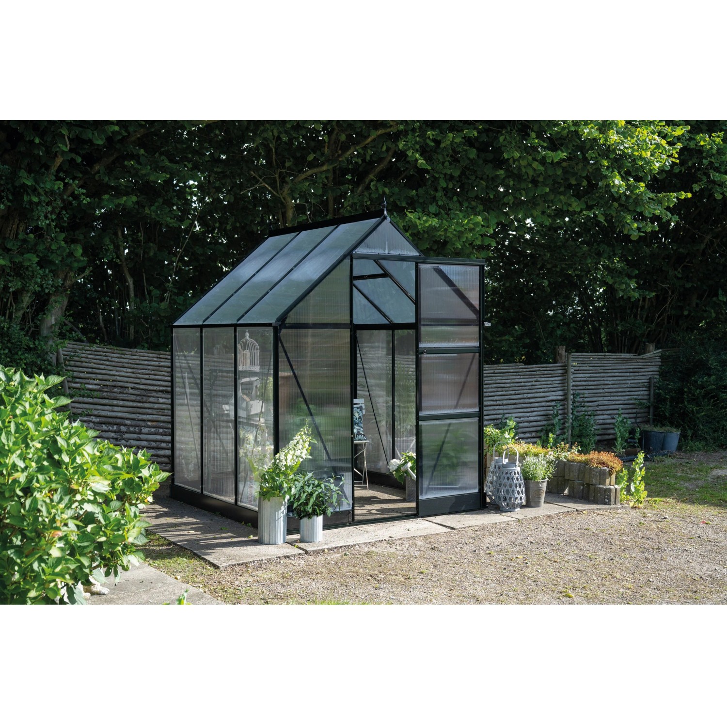 Halls Gewächshaus Icon 6 Schwarz 3,7 m² günstig online kaufen