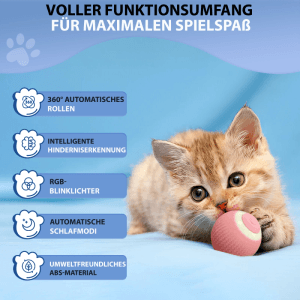 PETSATION Interaktives Katzenspielzeug