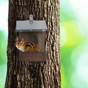 Relaxdays Eichhörnchen Futterhaus Holz Metall Dunkelgrün Mit Metalldach 18 x 12 x 25 cm 400 g