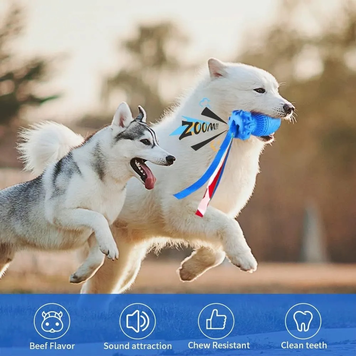 Zwei Hunde spielen mit Petsation Kauspielzeug Rocket, blaues Hundespielzeug mit Bändern.