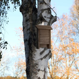 Brauner Relaxdays Fledermauskasten aus Holz am Baum. Natürlicher Unterschlupf für Fledermäuse.
