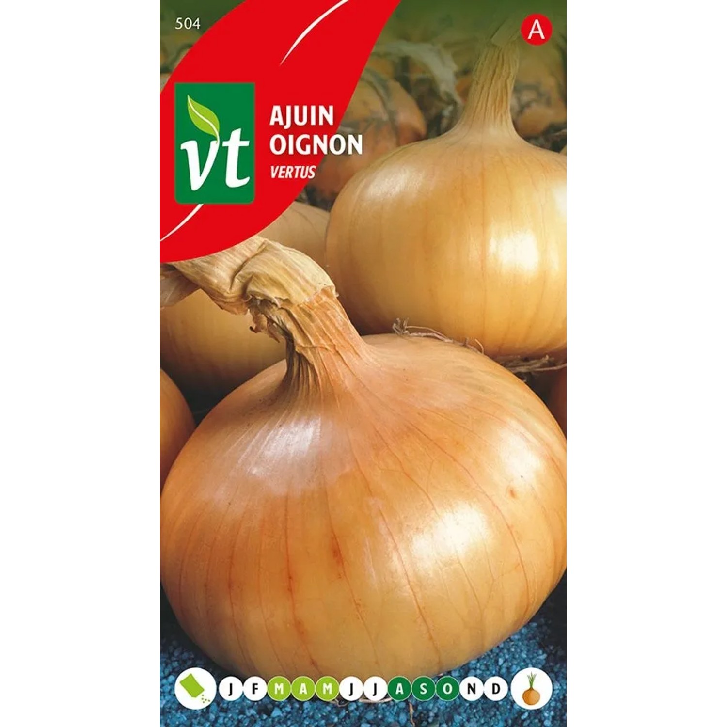 Zwiebel 'Vertus' Saatgut ca. 4 g Würzig