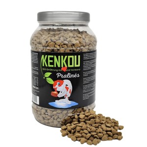 Kenkou Koi Fischfutter Pralinen, 1kg Dose. Ergänzungsfutter für prächtige Farben und Vitalität.
