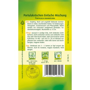 Samenpackung Quedlinburger Portulakröschen, einfach blühende Mischung für farbenfrohe Sommerblumen.