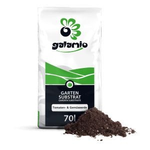 Palette Galamio Tomaten- & Gemüseerde (10 Säcke à 70L). Hochwertige Erde für gesundes Wachstum.