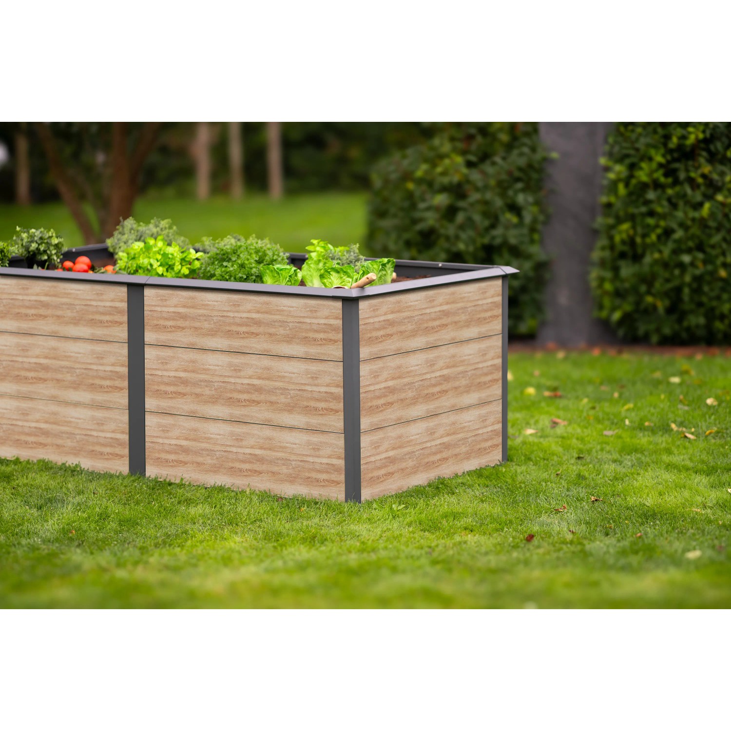 Westmann Hochbeet Primus-Multi, 200x100x77 cm, Anthrazit/Holzoptik. Metall-Hochbeet mit Schneckenkante.
