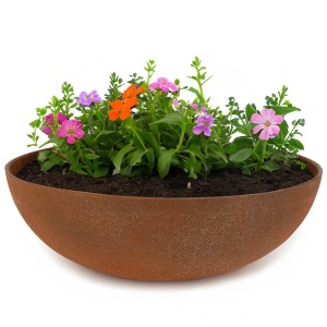 matches21 Pflanzschale in Rostoptik, 45 cm, bepflanzt mit bunten Blumen. Dekorative Schale für Garten und Balkon.