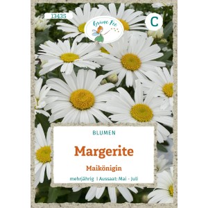 Grüne Fee Margerite Maikönigin Saatgut: Weiße Margeritenblüten mit gelber Mitte.