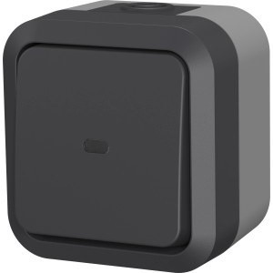 Aufputz Taster Aqua Pro, beleuchtet, in Grau-Anthrazit für Feuchträume und Außenbereiche.