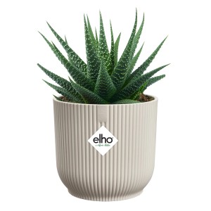 Elho Blumentopf Vibes Fold Mini, Ø 11 cm, Leinenweiß, mit Pflanze.