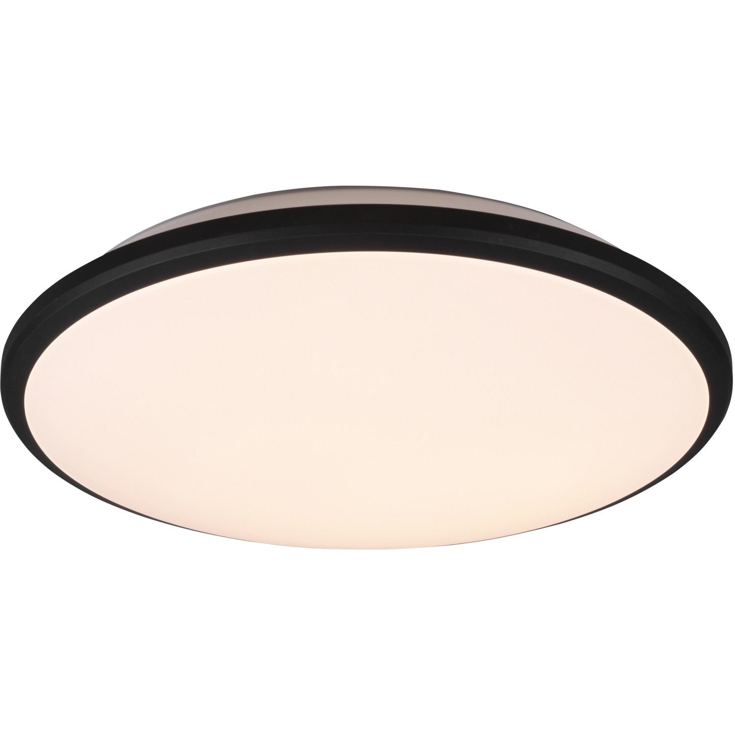 Reality  LED-Deckenleuchte Limbus Schwarz matt Ø 50 cm