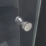 Glasdeals Nischentür ENTRARO, 145x195cm, mit Griff aus Chrom und Klarglas.