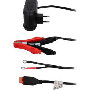 AEG Mikroprozessor-Batteriepulser MB 1.0 mit Stecker, Klemmen und Ringösen für Autoelektrik.