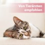 Katze entspannt mit Hinweis auf Felisept Augenpflege-Pads, empfohlen von Tierärzten.