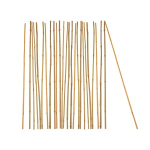 25 natürliche Bambus-Pflanzstäbe, 105cm lang, in verschiedenen Brauntönen, als Rankhilfe.